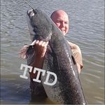 Dan Winston - @tackletartdan_ttd - Instagram