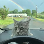 Dan&Winston - @danston33 - Instagram