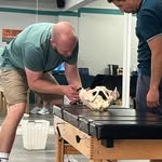 Dan Wisbey DC - @dc_wisbey - Instagram