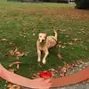 Dawn Wisbey - @dawn.wisbey - TikTok