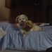 Dan Wissinger - Facebook