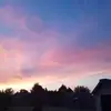 Dani Wissinger - @daniwissinger - TikTok
