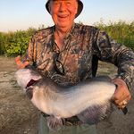 Dan Witt - @witt7361 - Instagram