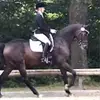 Alessavondanwitz - @lilly.20030 - TikTok