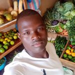 Dan Wix - @wix.dan - Instagram