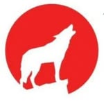 Dan Wolf - @wolfs_superior_sandwiches - Instagram