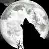 Dan Wolf - @dan.wolf81 - TikTok