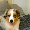 jordan Wolfgang - @jordan.wolfgang1 - TikTok