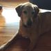 Dan Wolfley - Facebook