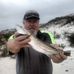 Dan Wolfley - Facebook