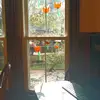 Daniel Wolfson - @daniel.wolfson4 - TikTok