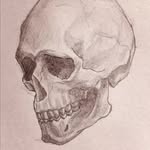 Danny - @dannywolfsondr - Instagram