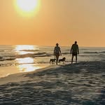 Danny Womack - @danw.omack1 - Instagram