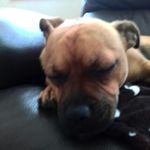 Daniel  Woodruff - @dan_woofwoof - Instagram