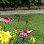 Dan Wooten - Facebook