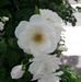 Jorge Daniel Wunderlich - Facebook