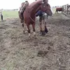 dannywurz811 - @dannywurz811 - TikTok