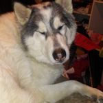 Dan Wyman - @dan.wyman.961 - Instagram