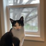 Daniel Wynkoop - @kansascitykoop - Instagram