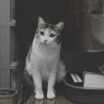 Dan Xiang - @danxiang - Instagram