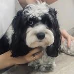 danxiang - @danxiang0525 - Instagram