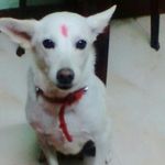 danyanivedha - @danyanivedha5 - Instagram