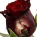 Dan Dar Ye - Facebook