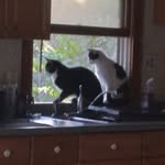 Dan Yeager - @danyeager64 - Instagram