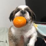 조다은 - @danyee_e - Instagram
