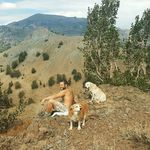 Dan Yost - @dan_r_y - Instagram