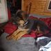 Dan Zehr - Facebook