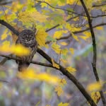Dan Zehring - @danzehringphotography - Instagram