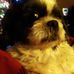 Dan Ziemer - Facebook
