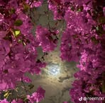 Dana Abdullah - Facebook