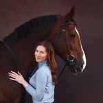Фея конного массажа✨| HORSE UNIVERSE by Dana Abelkhanova - @dana_abelkhanova - Instagram