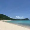 dana - @dana.applegate - TikTok