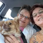 Dana Perkins Applegate - @dana_perkins_applegate - Instagram