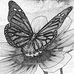 Dana Ashcroft - Facebook