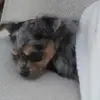 danielabachmayer - @dana.bach - TikTok