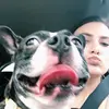 Dana Bachman - @dbreeezi - TikTok