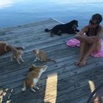 Dana Ball - @dananealball - Instagram