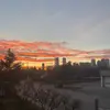 dana - @dana.barakat - TikTok