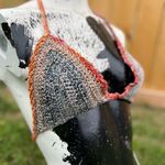 Dana Beals - @thatstupidstitch - Instagram