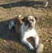 Dana Becton - Facebook