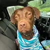 Dana_bird - @dana_bird90 - TikTok