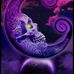 Dana Black - Facebook