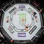 DANA BLACK - @ufcwow01 - Instagram