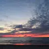 danablake - @danablake7 - TikTok