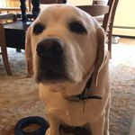 Dana Blanks - @pipermom22 - Instagram