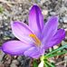 Dana Boder - Facebook
